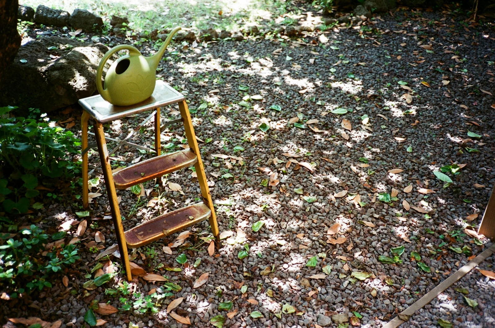 A watering can and stool in dappled garden light