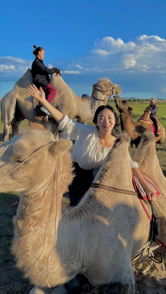 A traveler sitting on a camel in open grassland